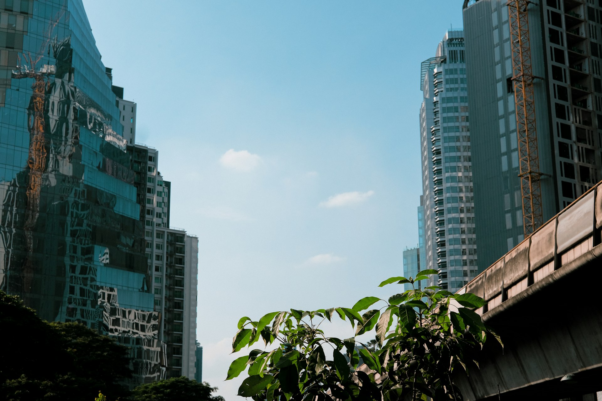 A view of a city street with tall buildings in the background